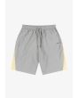 Sprinter krótkie spodenki regular męskie szare
