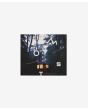 The Beginning Album Sampler (Winyl)