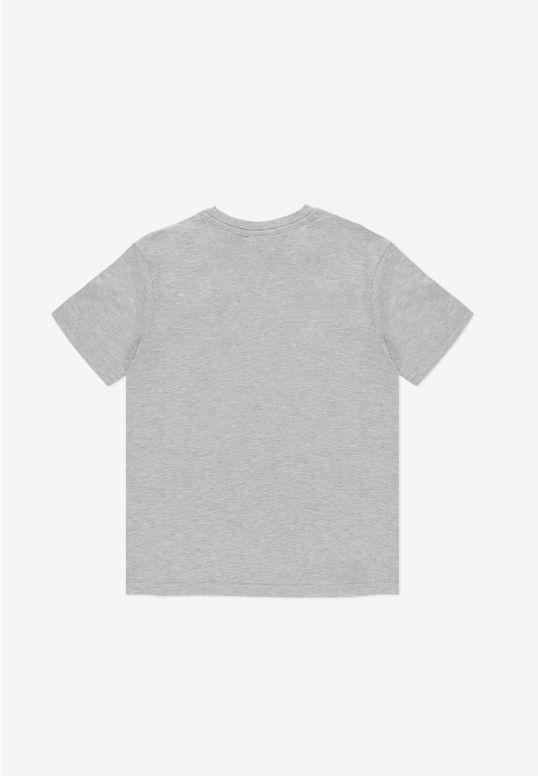 KD252KTEE1031_ts_jazz_gray_2