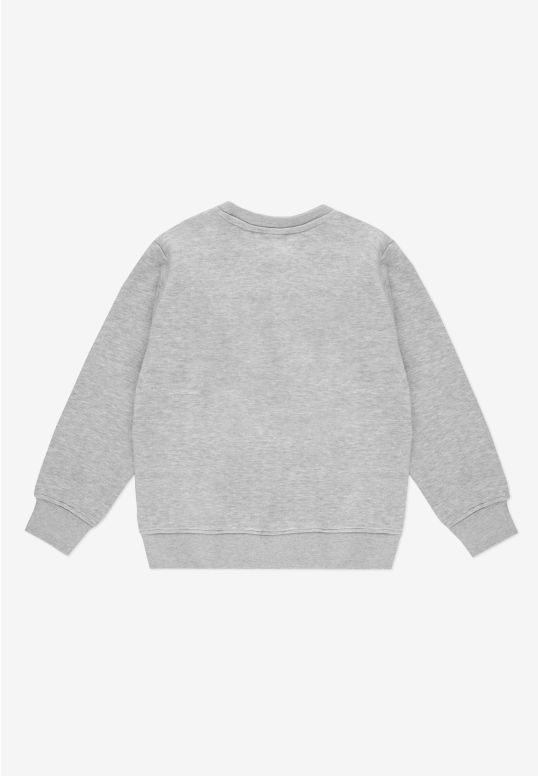 KD252KSWE1041_crewneck_hiphop_gray_2