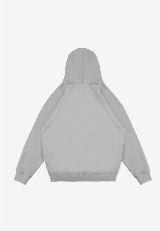 KL252MSWE2101_hoodie_biglog_gray_2