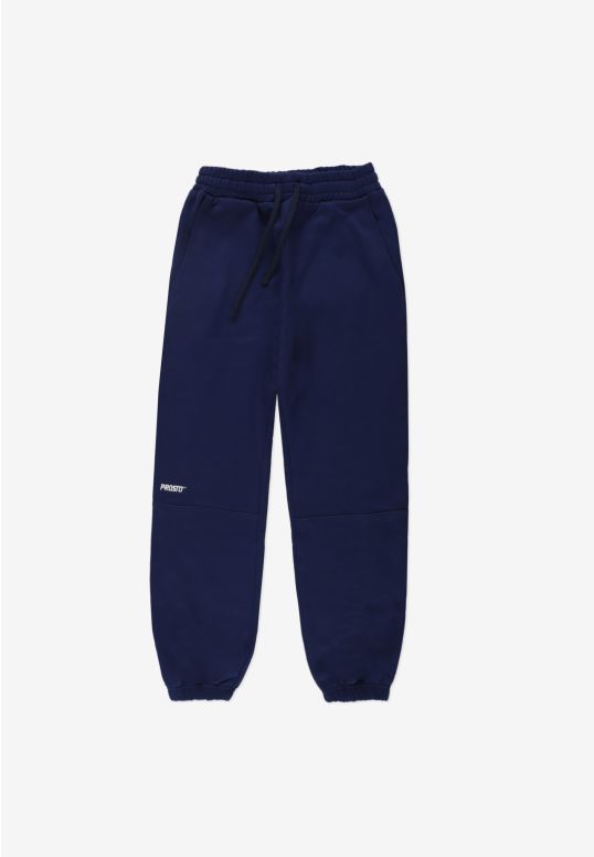 PR254FPAN4011_sweatpants_cut_navy_2