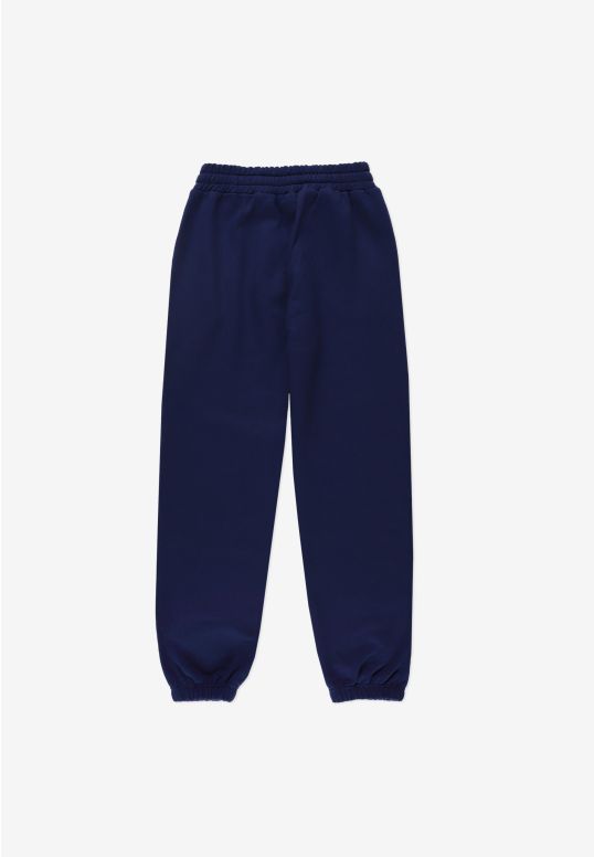 PR254FPAN4011_sweatpants_cut_navy_2