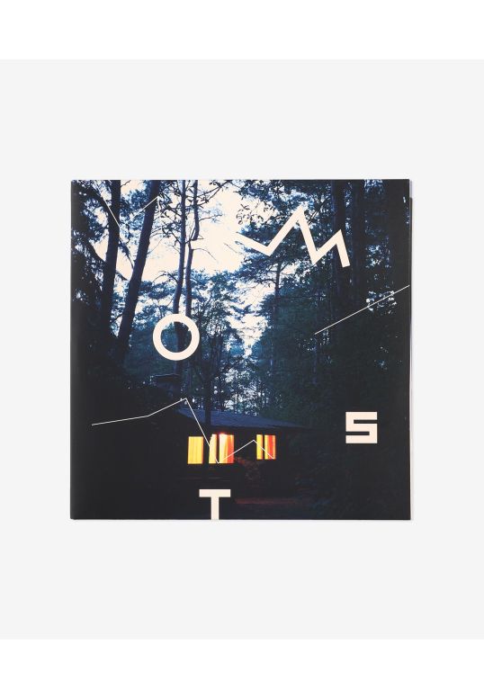 The Beginning (Winyl)