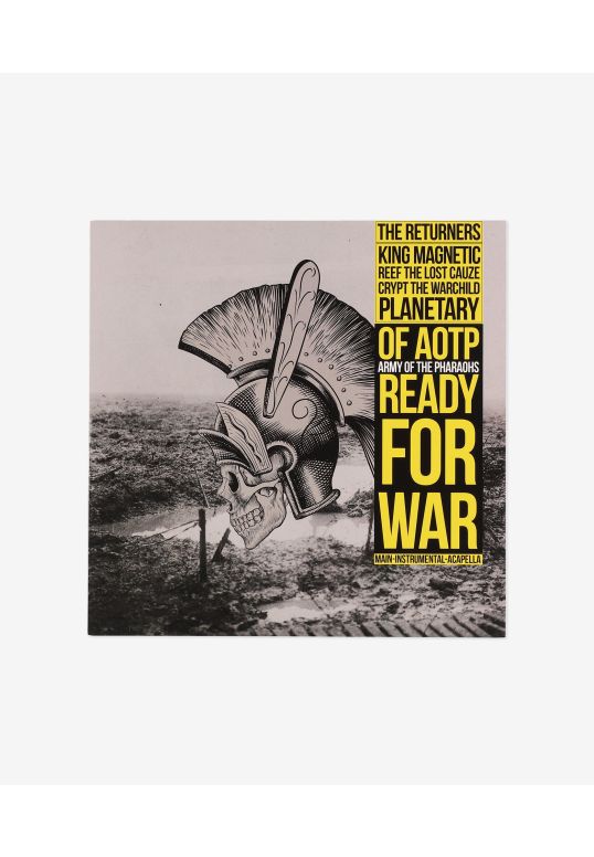 Ready for war / What's going on (Winyl)