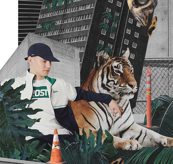 Stay Wild